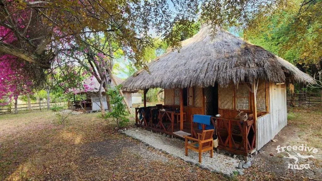 Homestay Alor