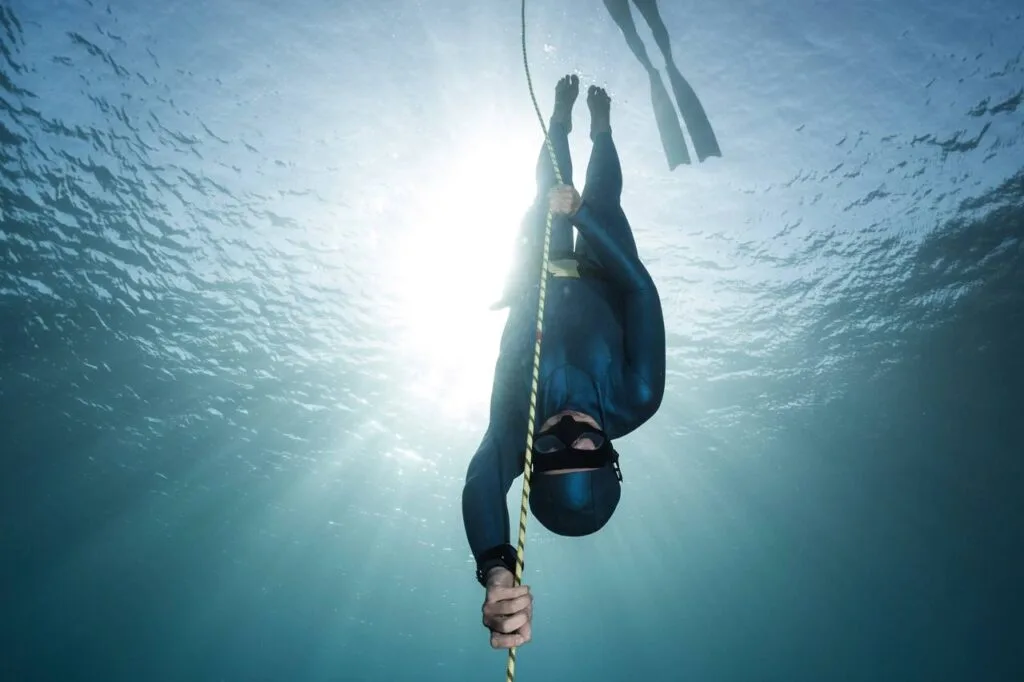 No Fins Specialty