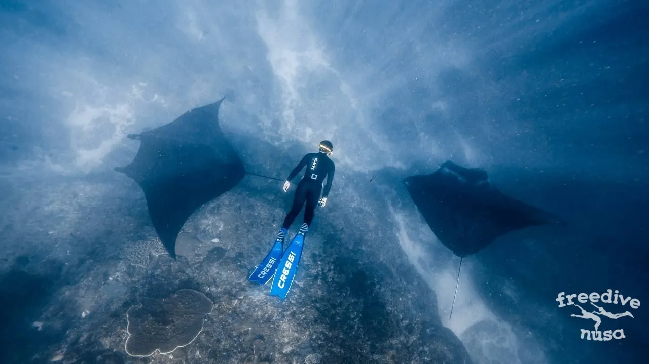 scuba diving equipment, scuba diving swimsuit, freediving, diving, fins
