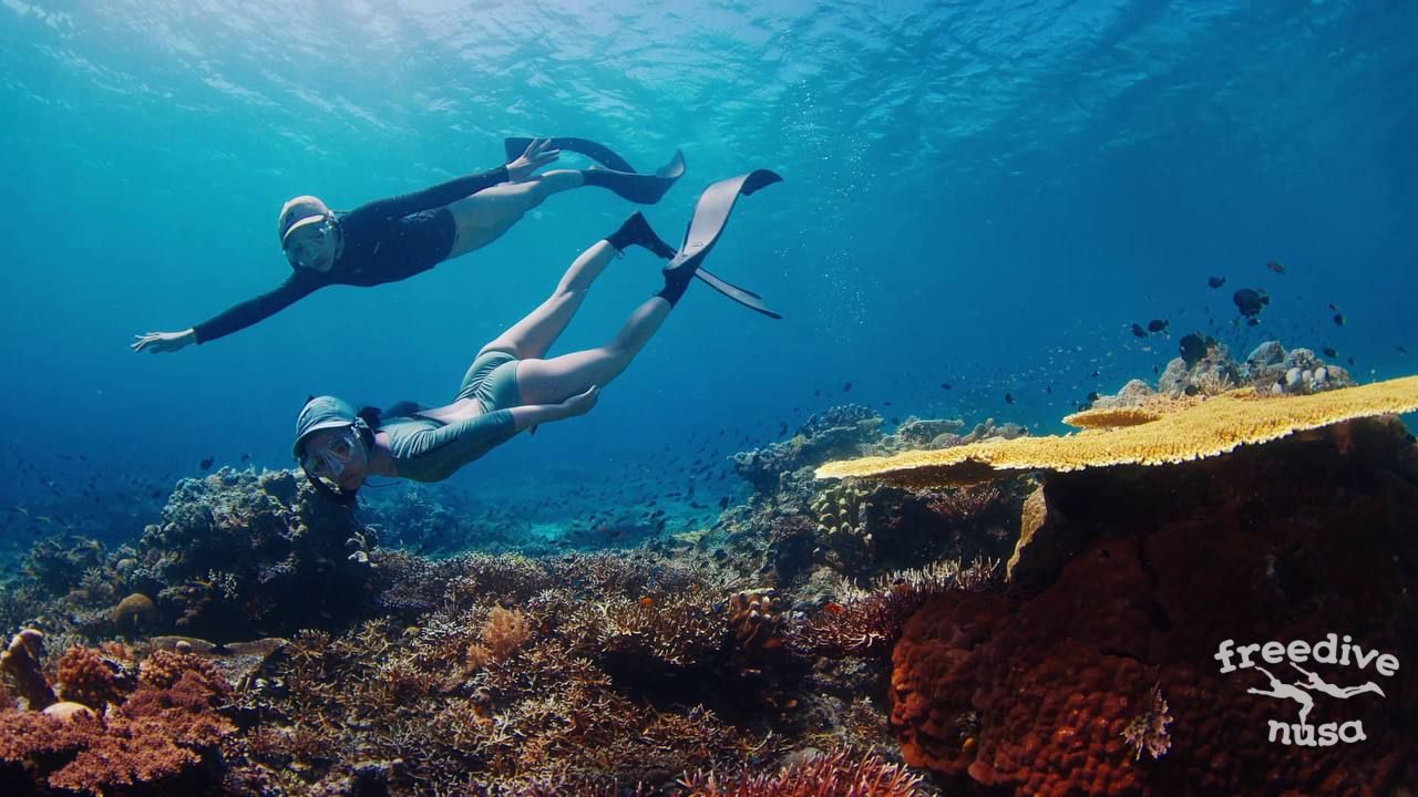 Best freediving spots