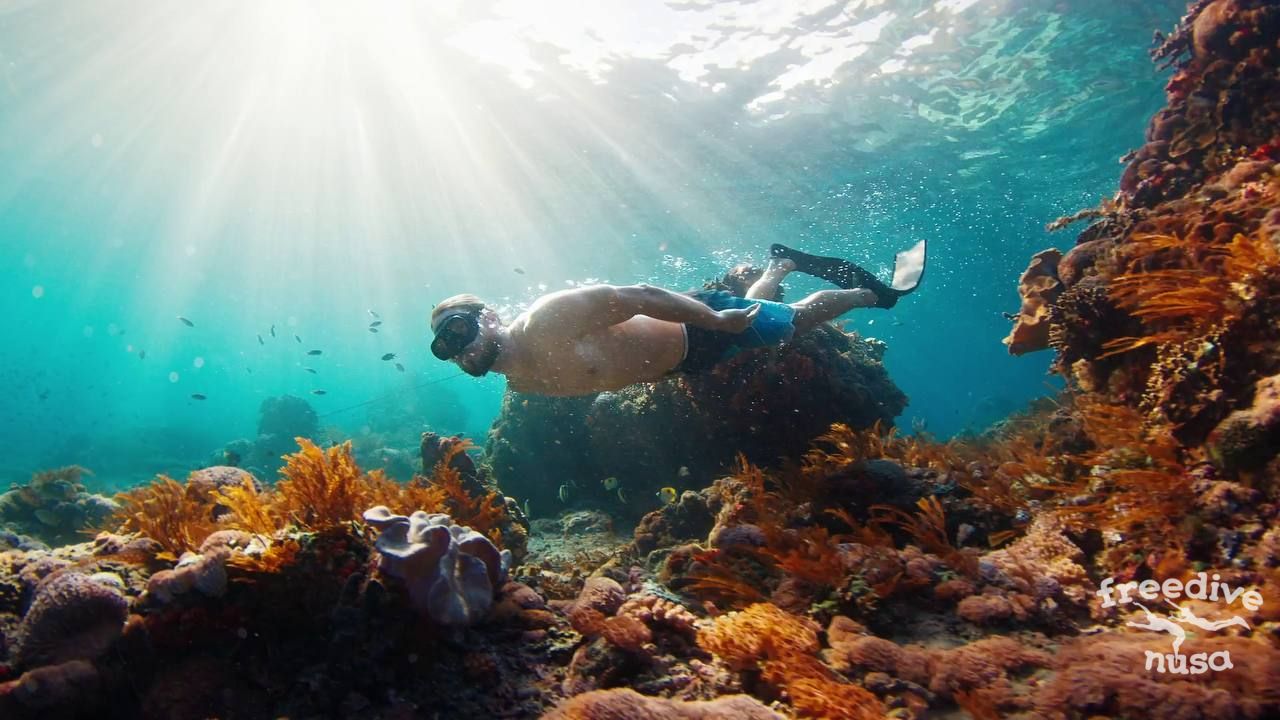 Freediving in Nusa Penida