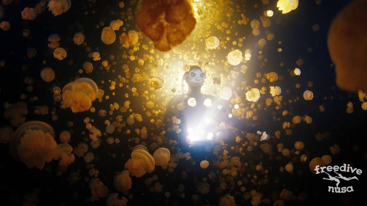 Freediving in Raja Ampat