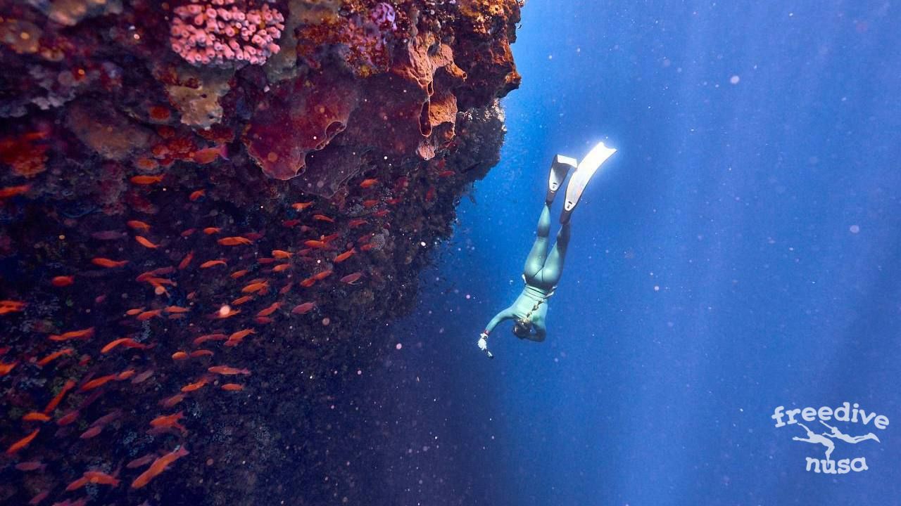 Freediving in Raja Ampat