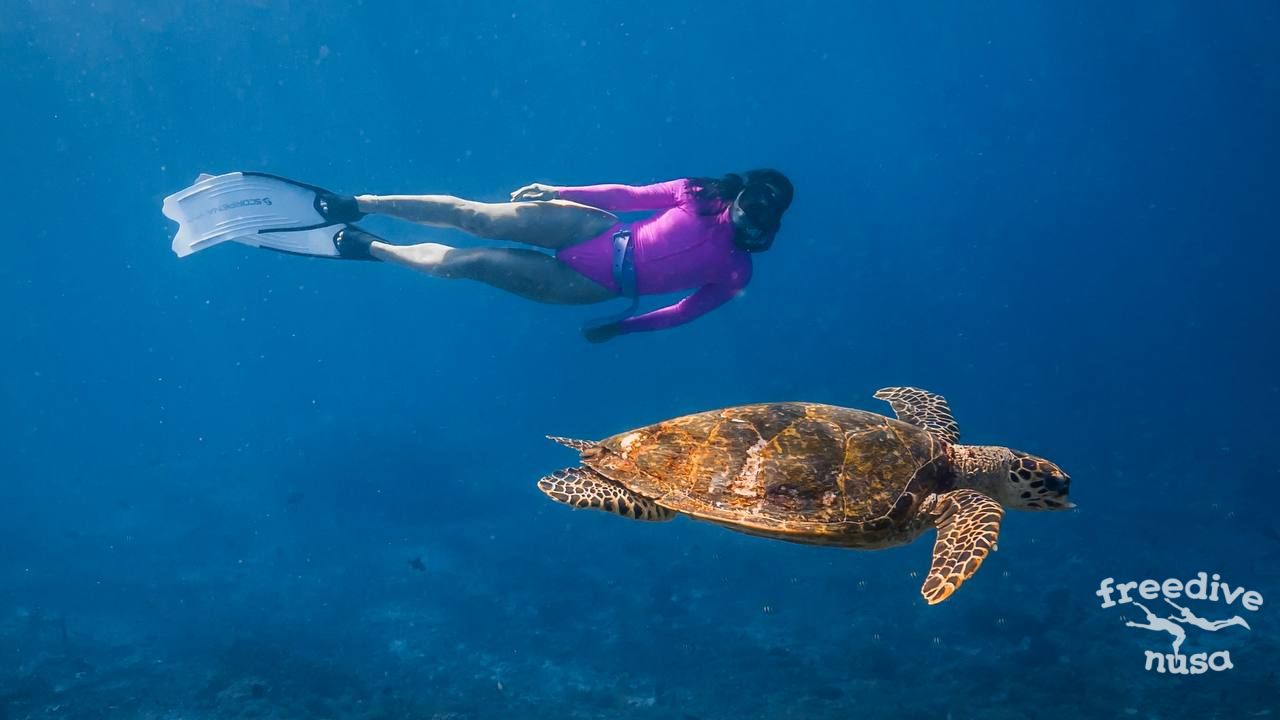 Freediving in Maratua