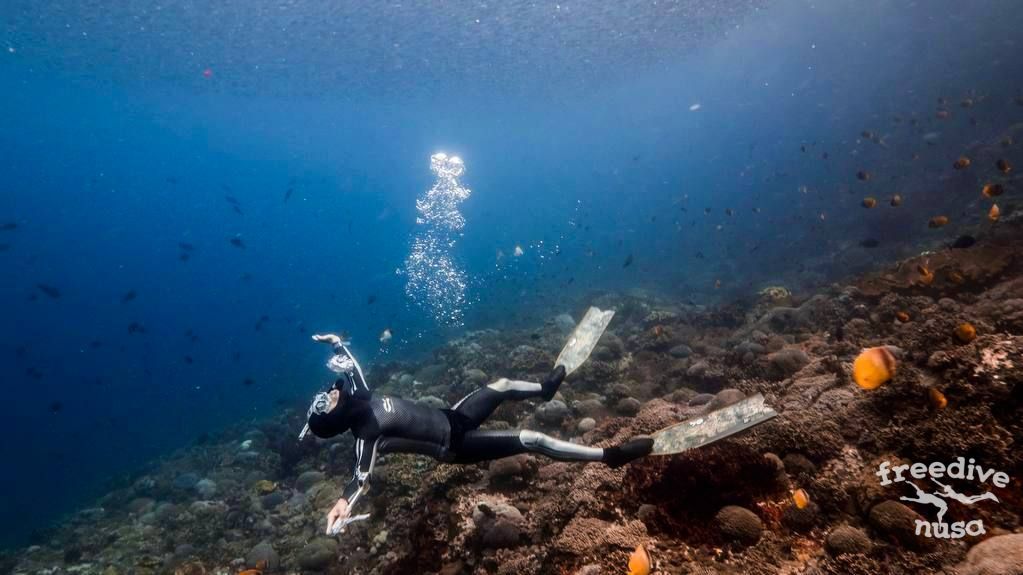 Freediving in Morotai