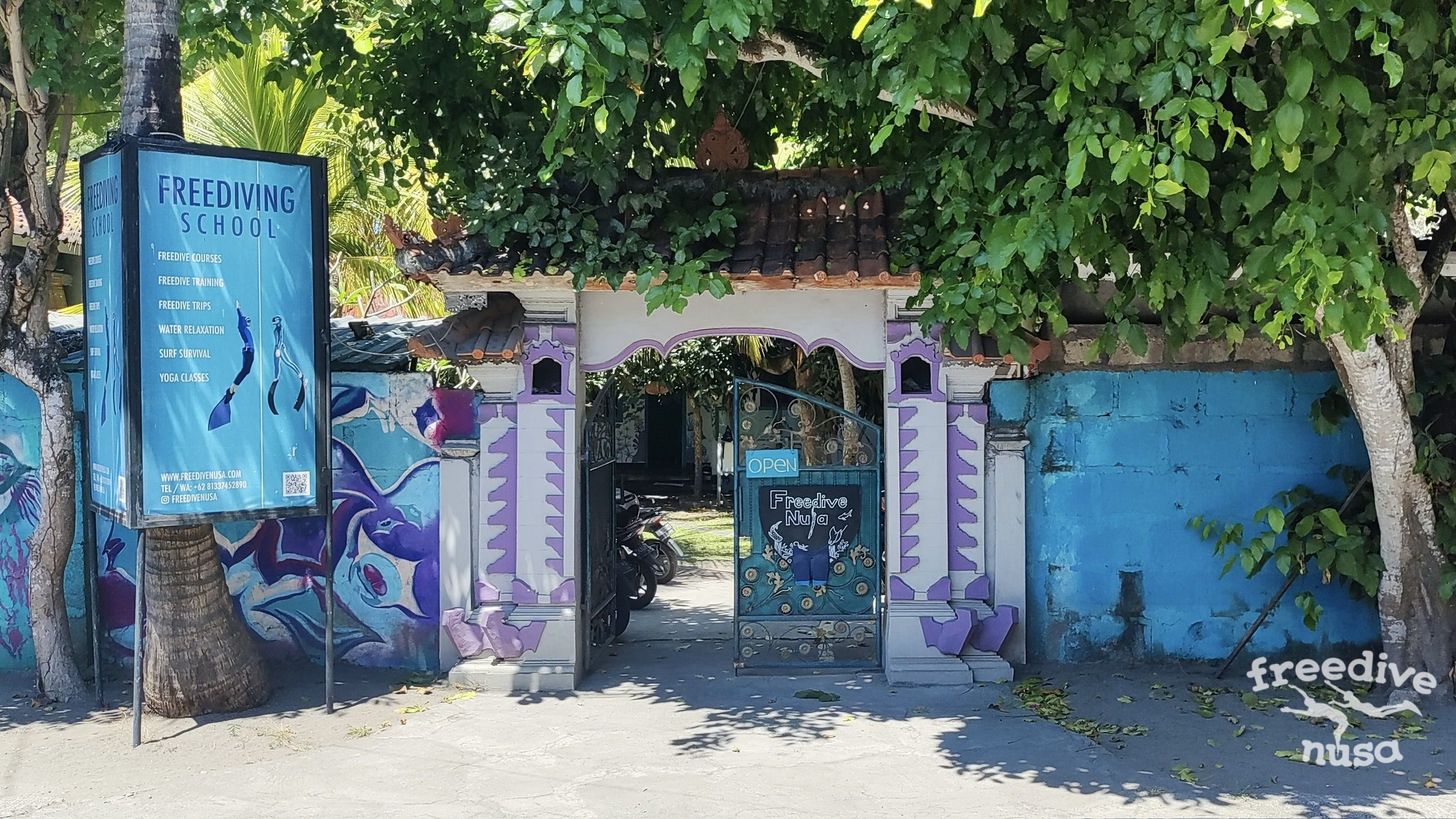 Freedve School Nusa Penida Bali