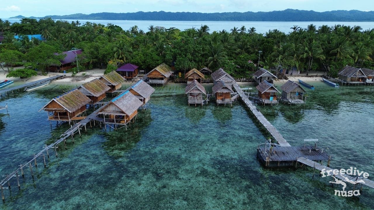 Freedive Trip to Kri Island