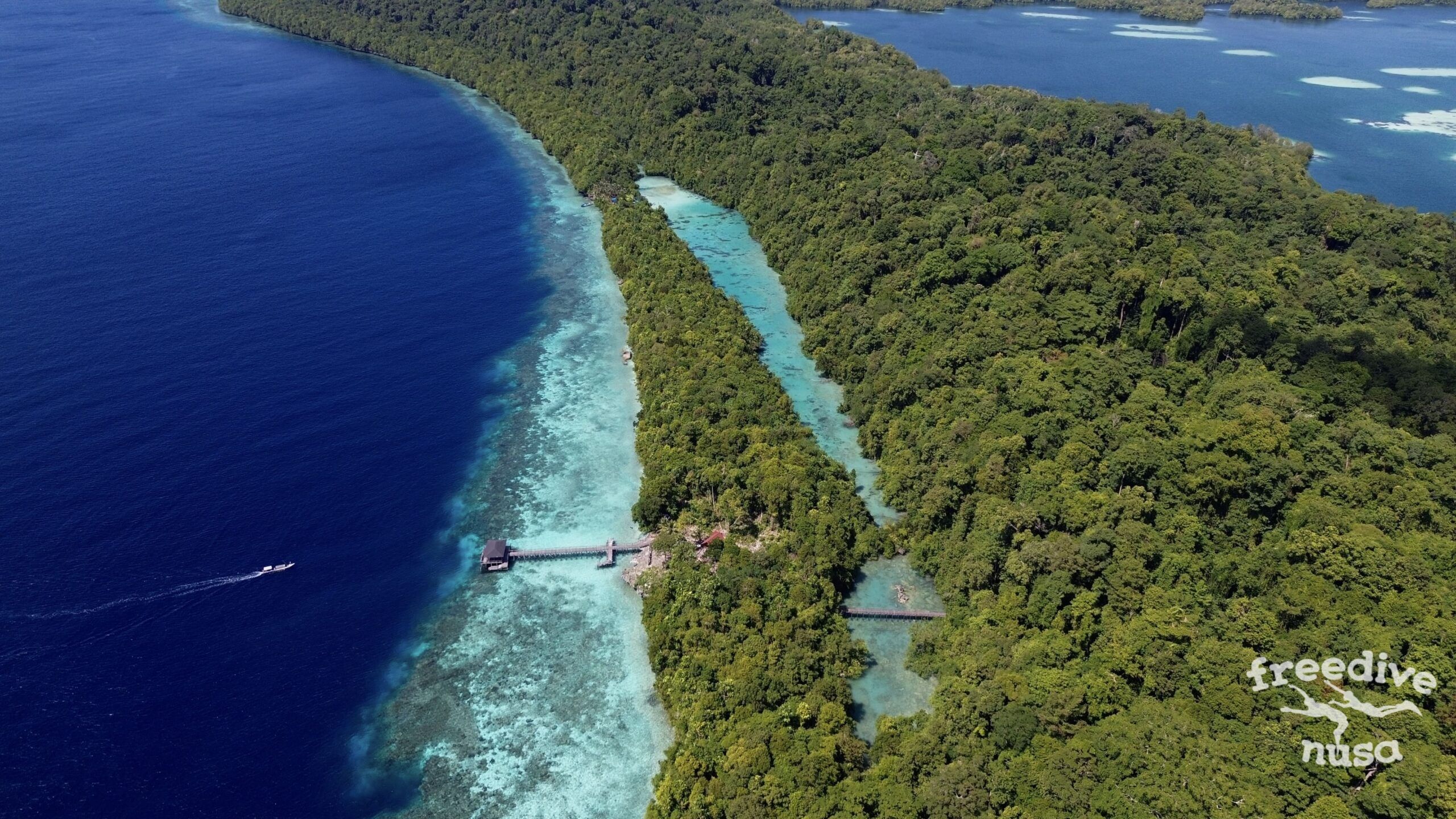 Freedive Trip to Maratua