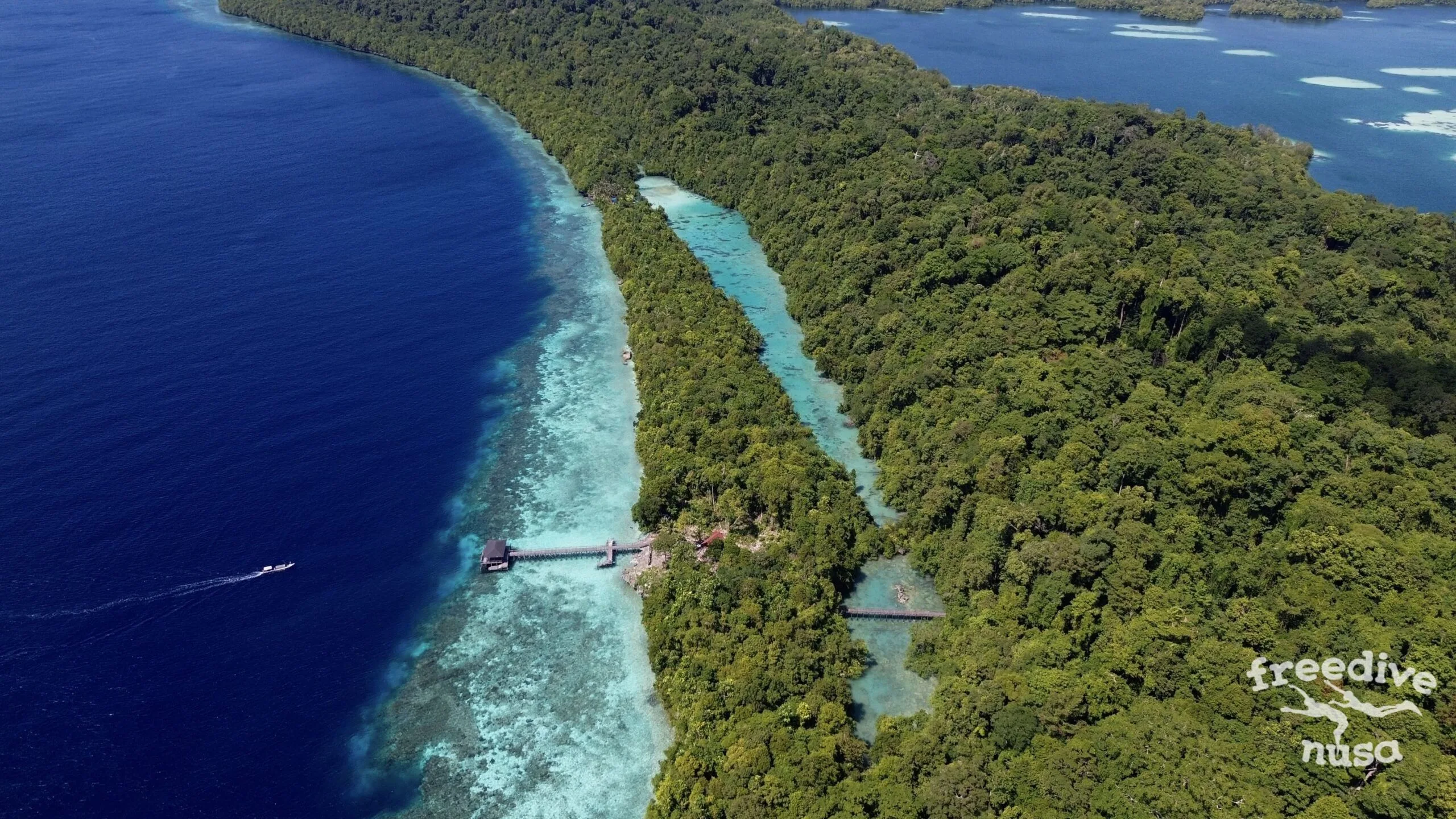 Freedive Trip to Maratua