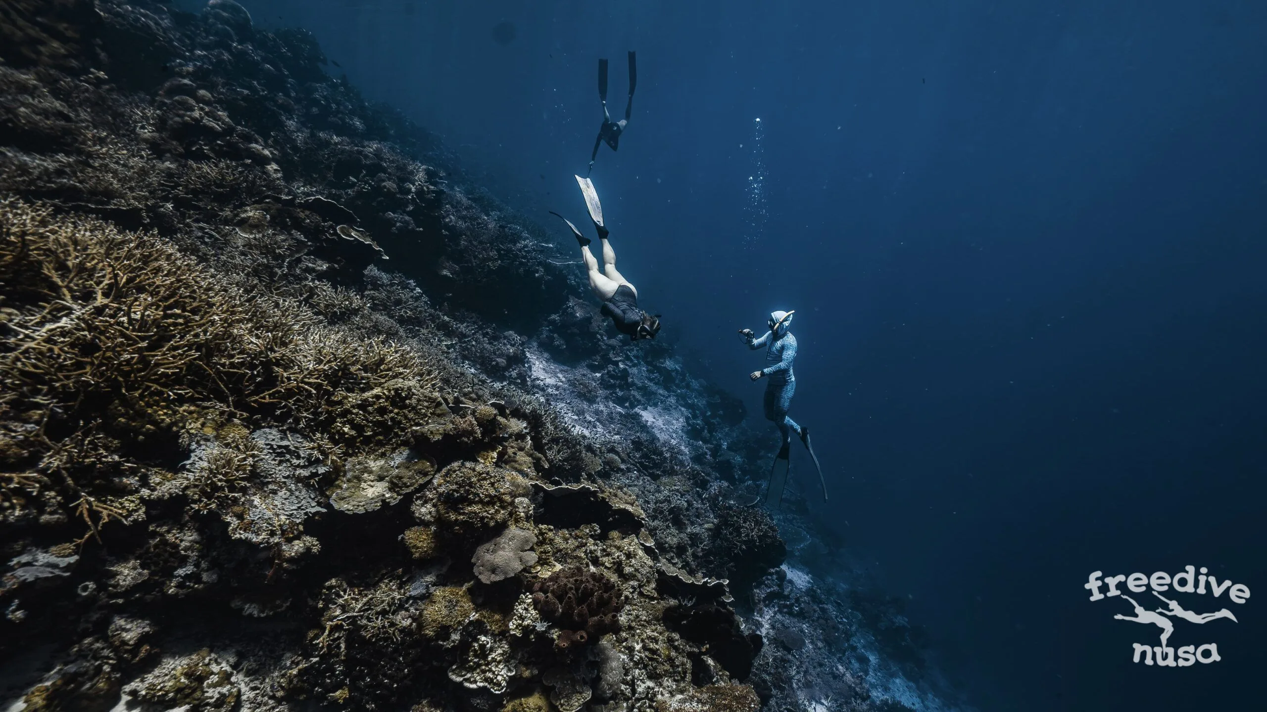 Freediving Maratua Rich Reefs
