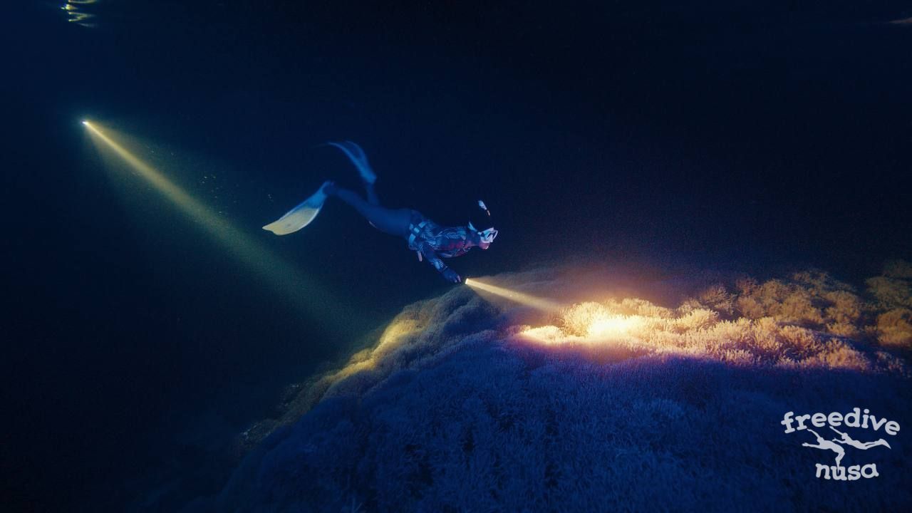 night diving Alor