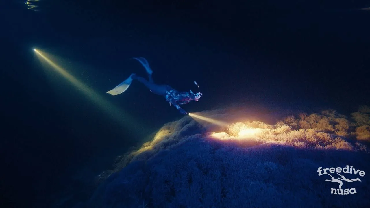 night diving Alor