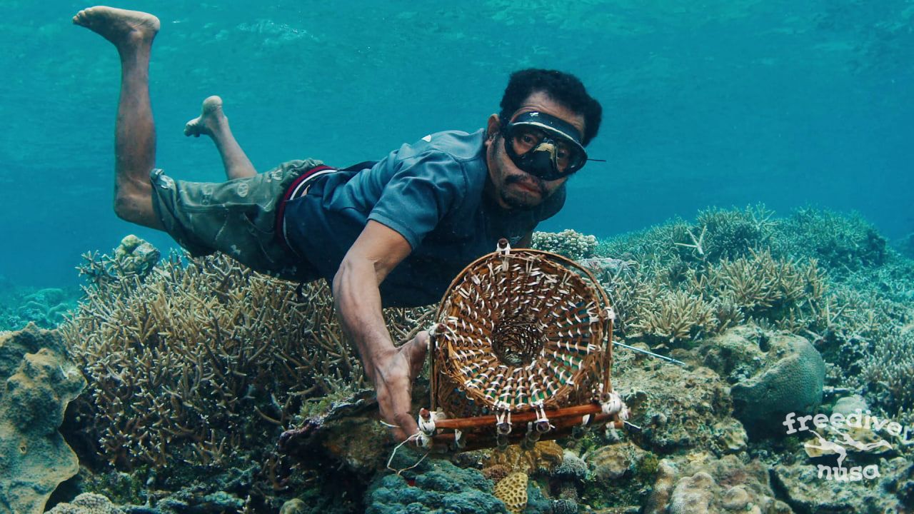 Freedive Trip to Alor