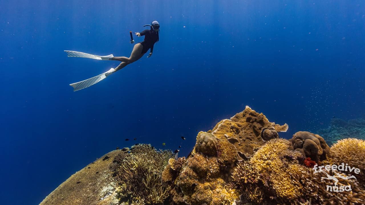 Maratua Freediving
