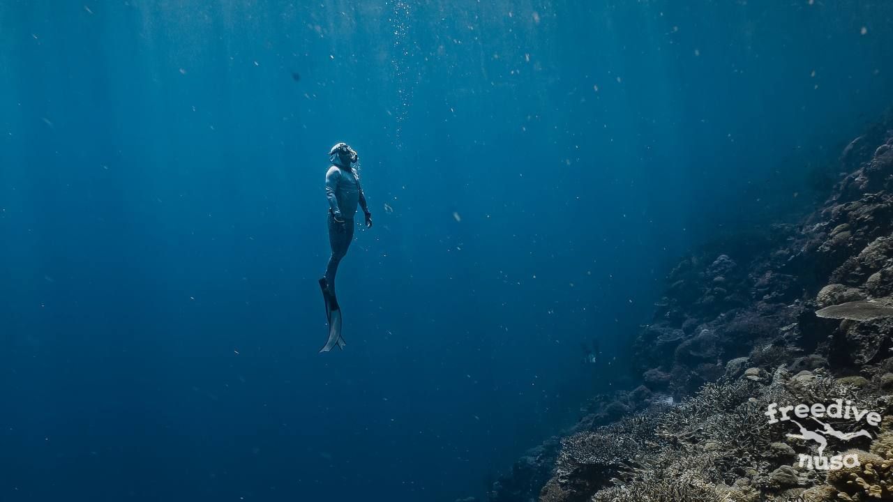 misool trip Maratua Freediving