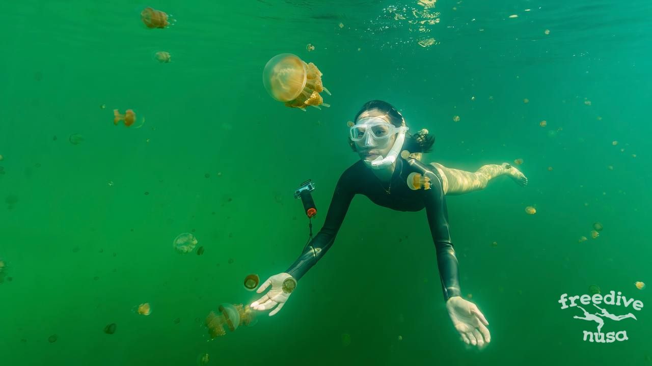 raja ampat snorkeling trip Kakaban Jellyfish Lake