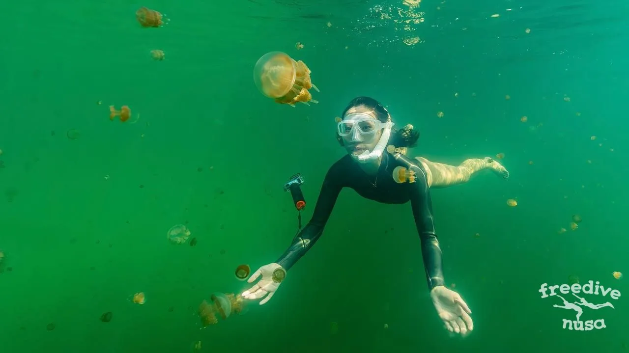 raja ampat snorkeling trip Kakaban Jellyfish Lake