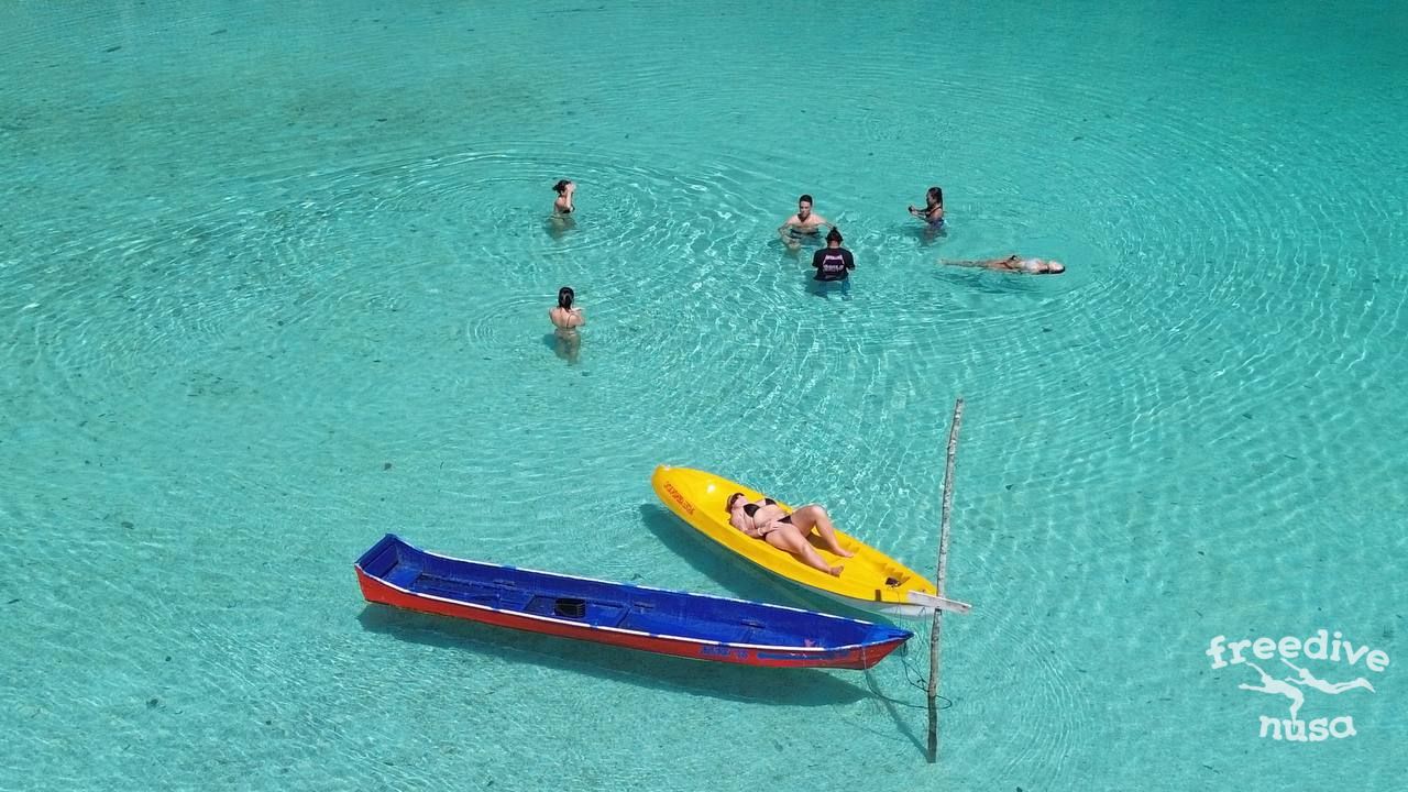 Maratua Freedive Trip