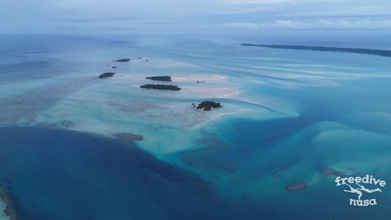raja ampat snorkeling trip Freediving in Maratua