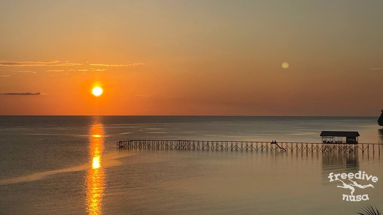 raja ampat snorkeling trip Maratua acommodation