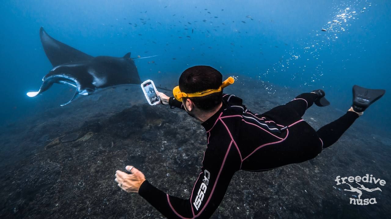 Freediving School Nusa Penida