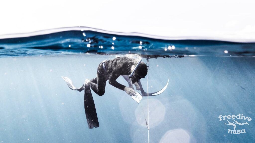 duck dive in freediving