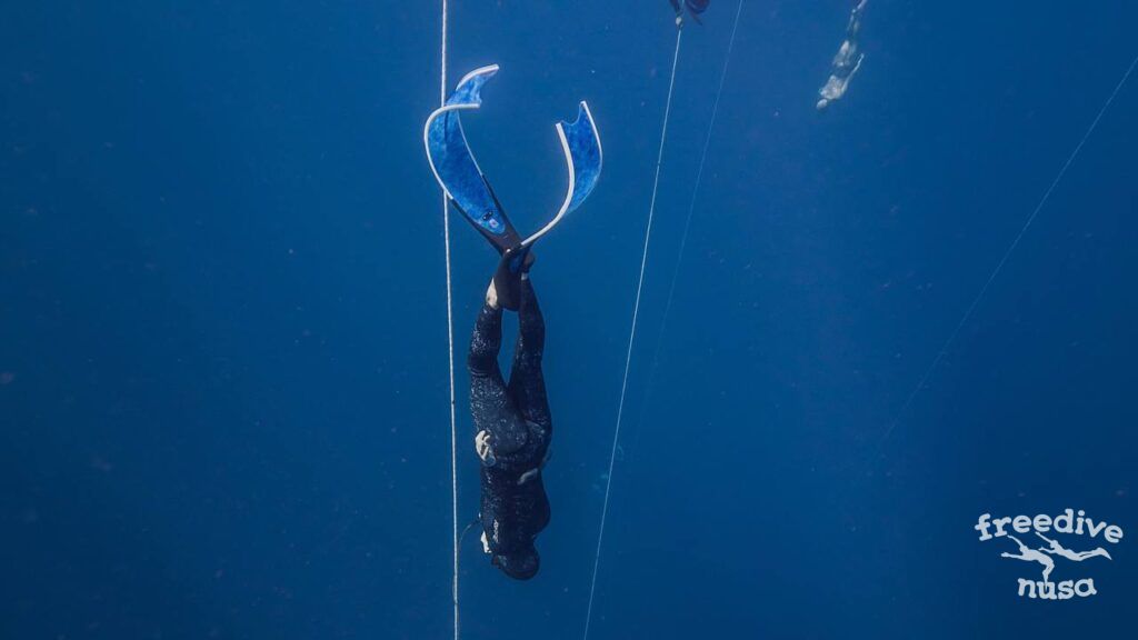 freediving in bifins