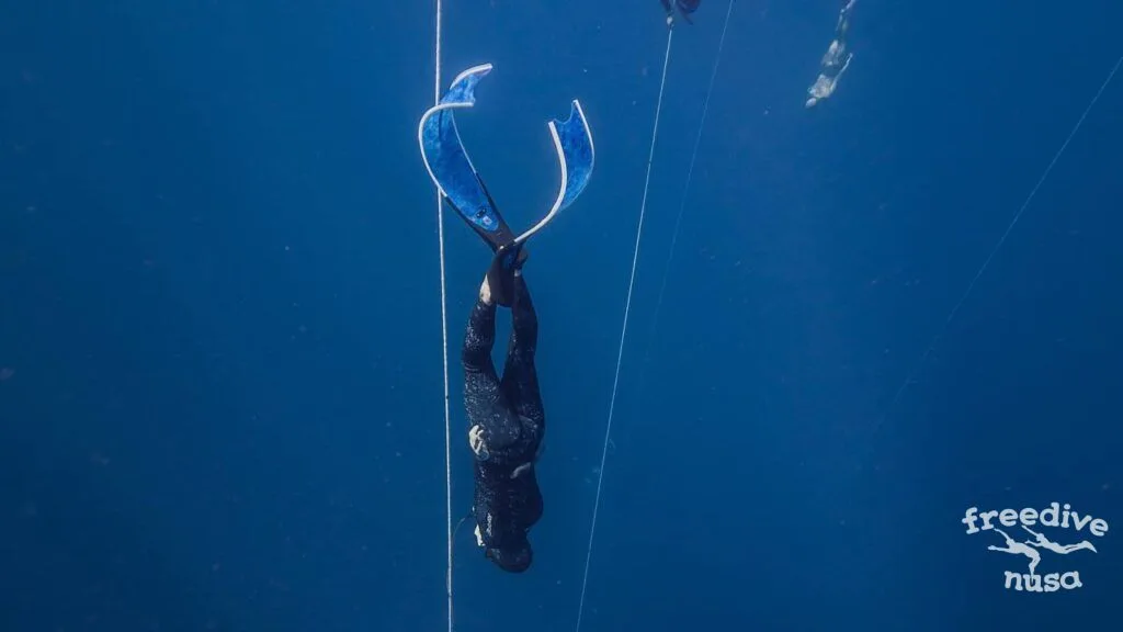 freediving in bifins