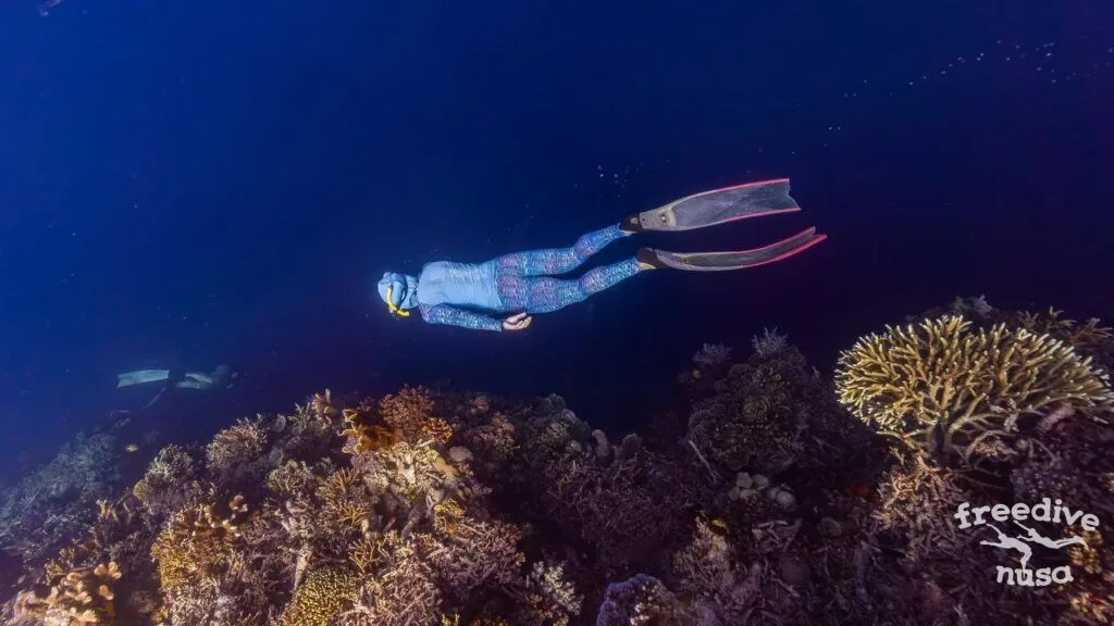 Freedive trip to Maratua