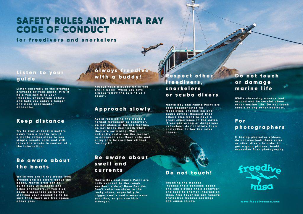 Manta Rays Code of Conduct