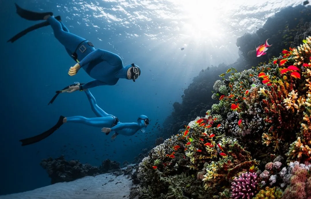 Freedive Trips with Freedive Nusa